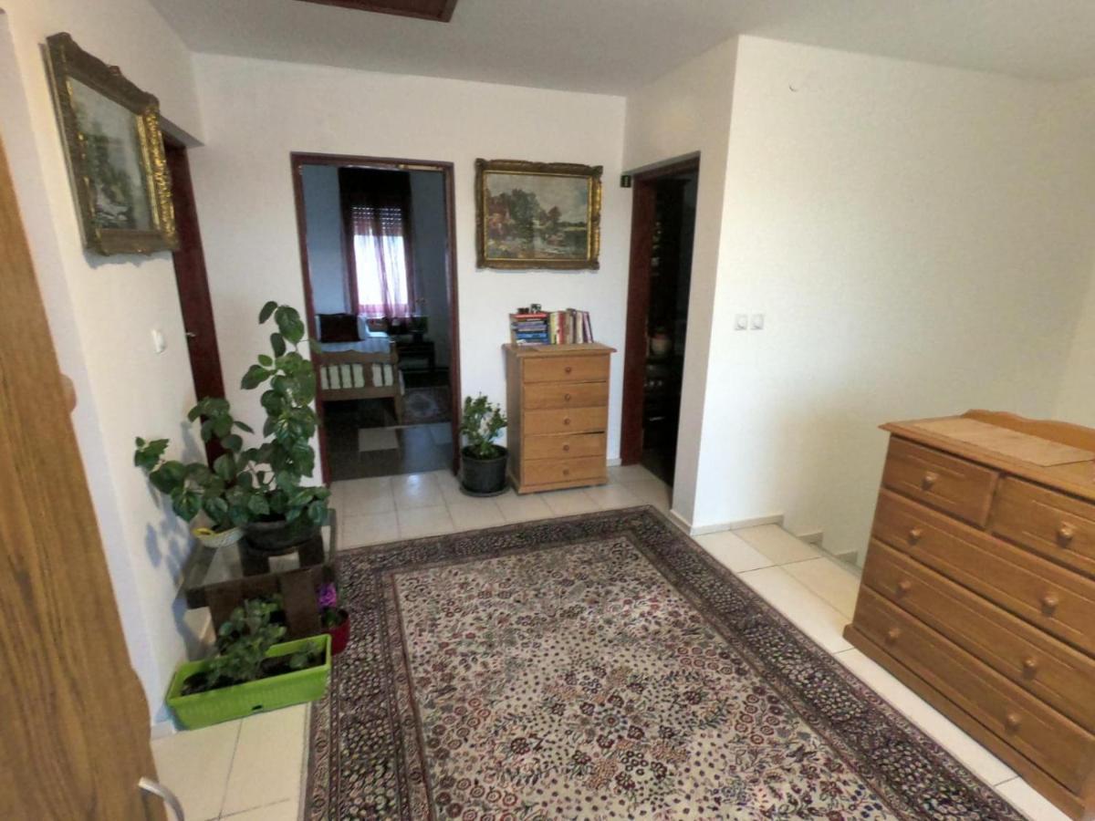 Moj Salas Novi Sad Ngoại thất bức ảnh